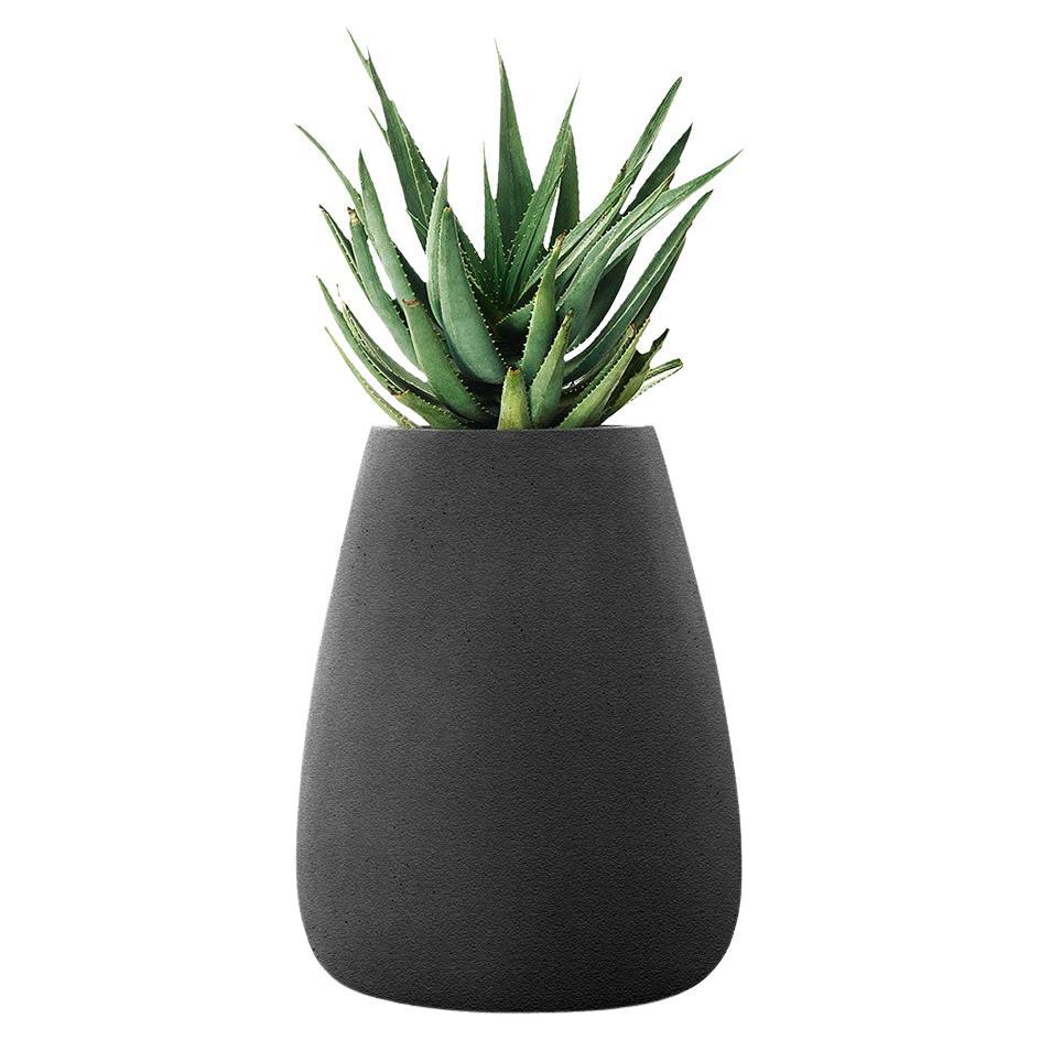 Tuber Medium Black Planter by Indigenus