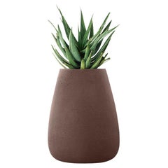 Jardinera Tuber Marrón Mediana by Indigenus