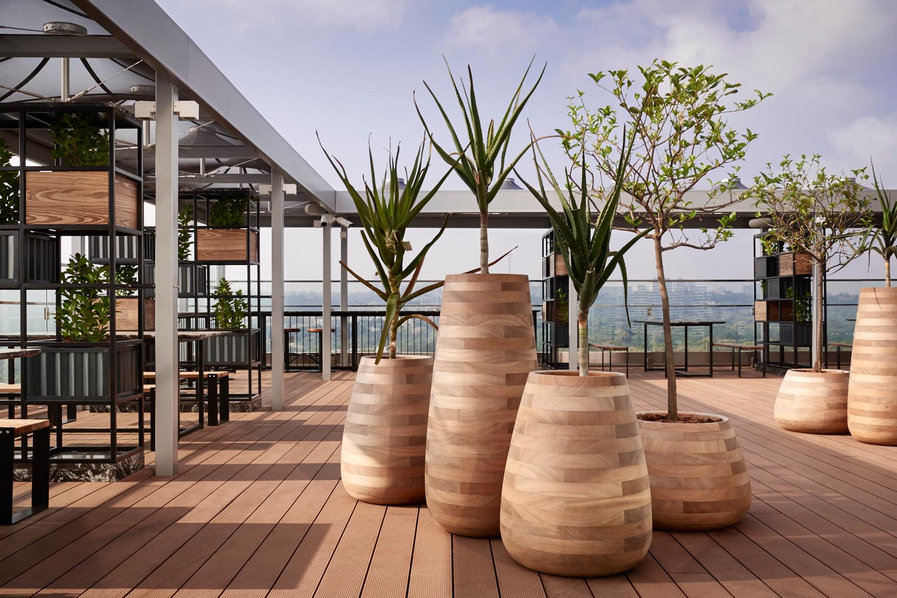Jardinera Mediana de Madera Natural Tuber de Indigenus en venta 7