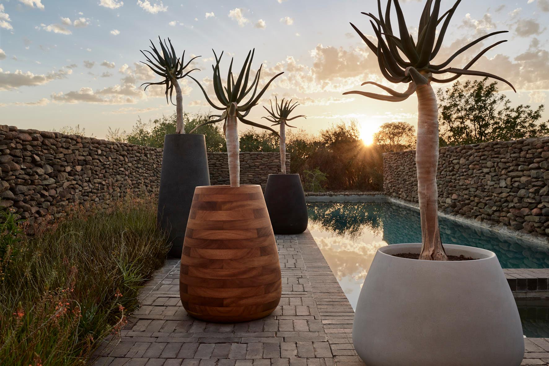 Jardinera Mediana de Madera Natural Tuber de Indigenus en venta 8