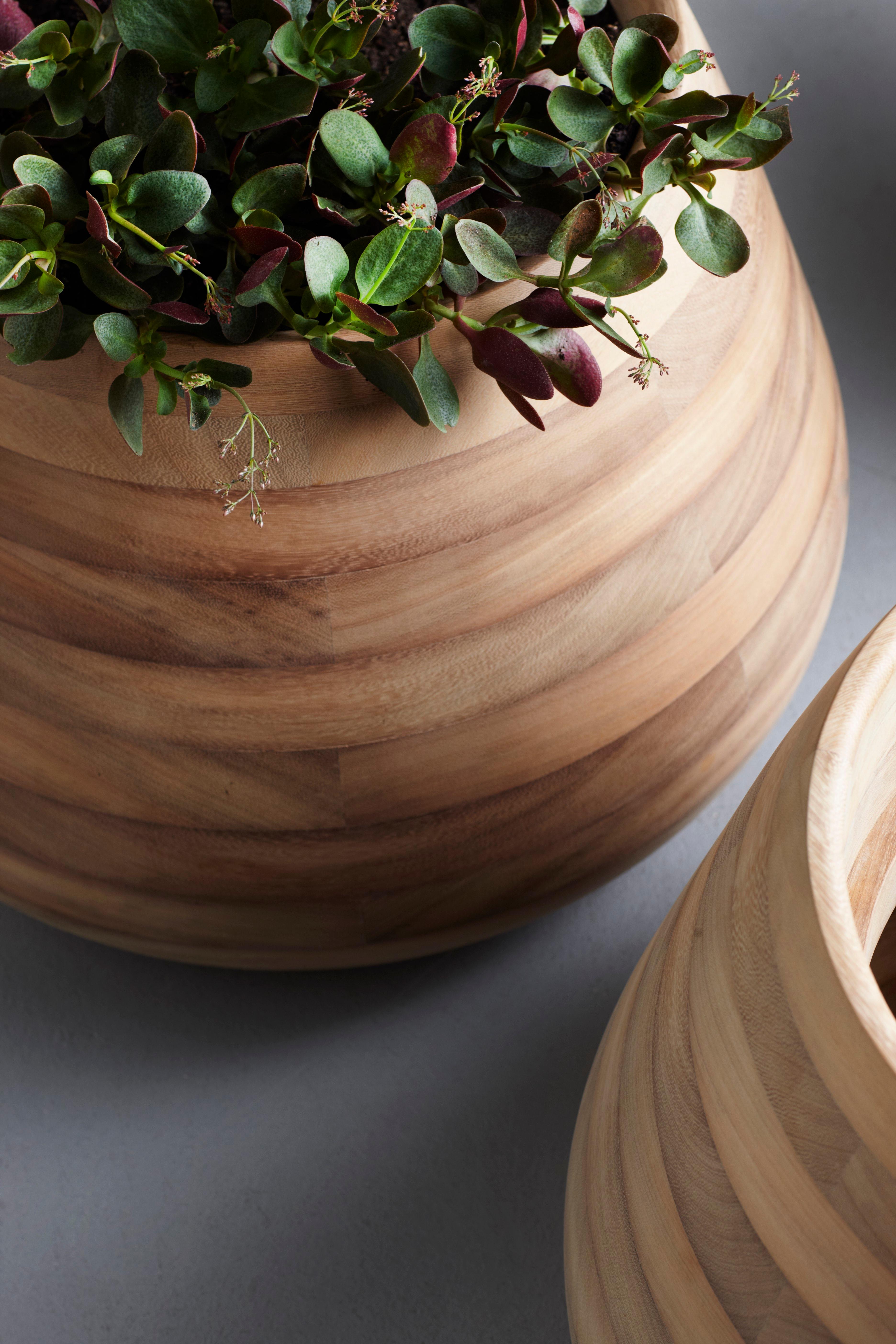 Jardinera Mediana de Madera Natural Tuber de Indigenus Sudafricano en venta
