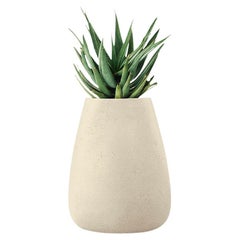 Fioriera Tuber Medium Sandstone di Indigenus