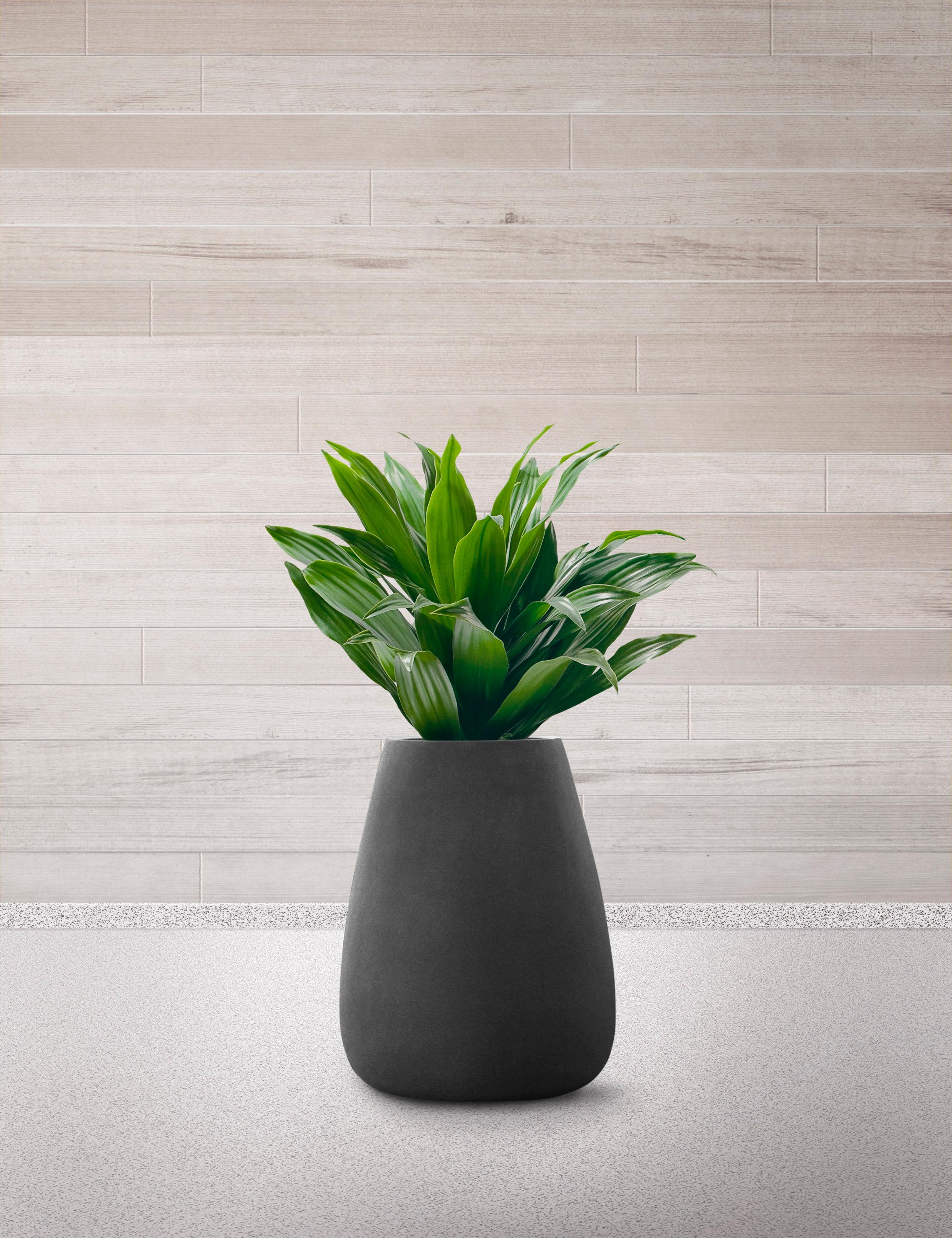 Tuber Medium White Planter by Indigenus
Designed by Haldane Martin
Dimensions: Ø 57 x H 71 cm.
Materials: Stone.
Weight: 48 kg.

Different colors and sizes are available. Please contact us.

Haldane Martin’s Tuber, as the name suggests, is inspired
