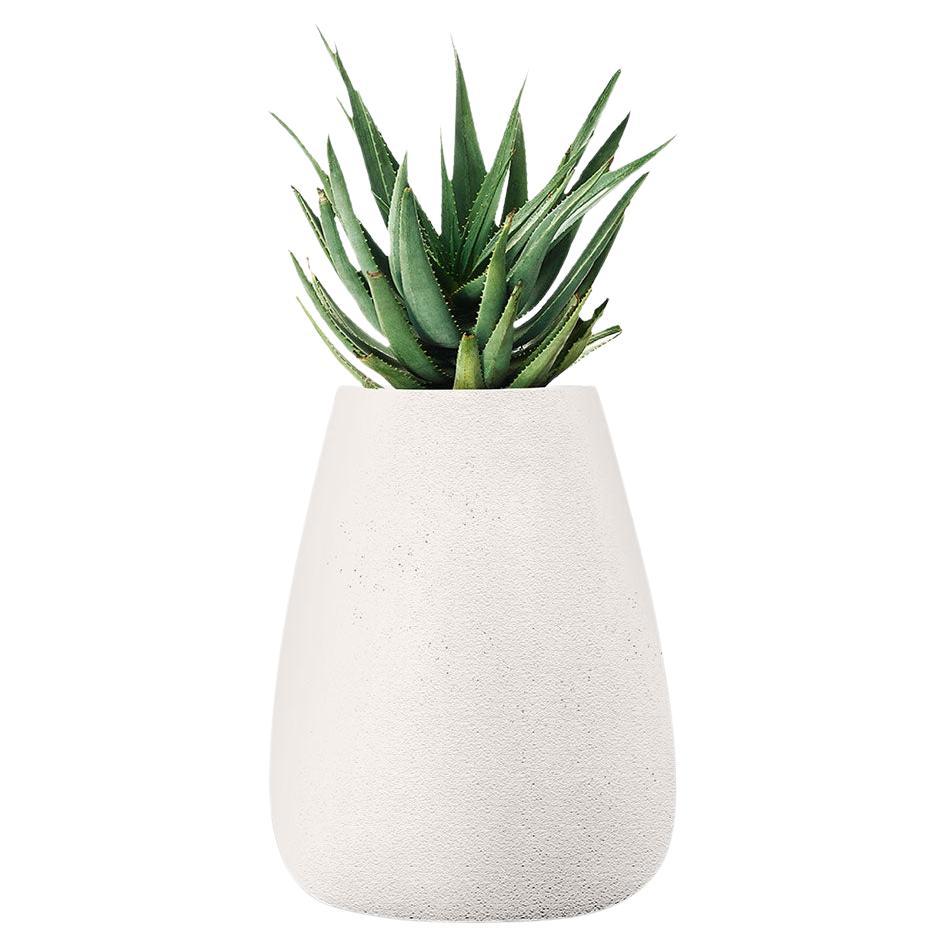 Tuber Medium White Planter by Indigenus For Sale