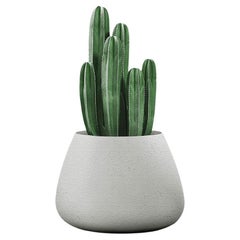 Petite jardinière grise Tuber par Indigenus