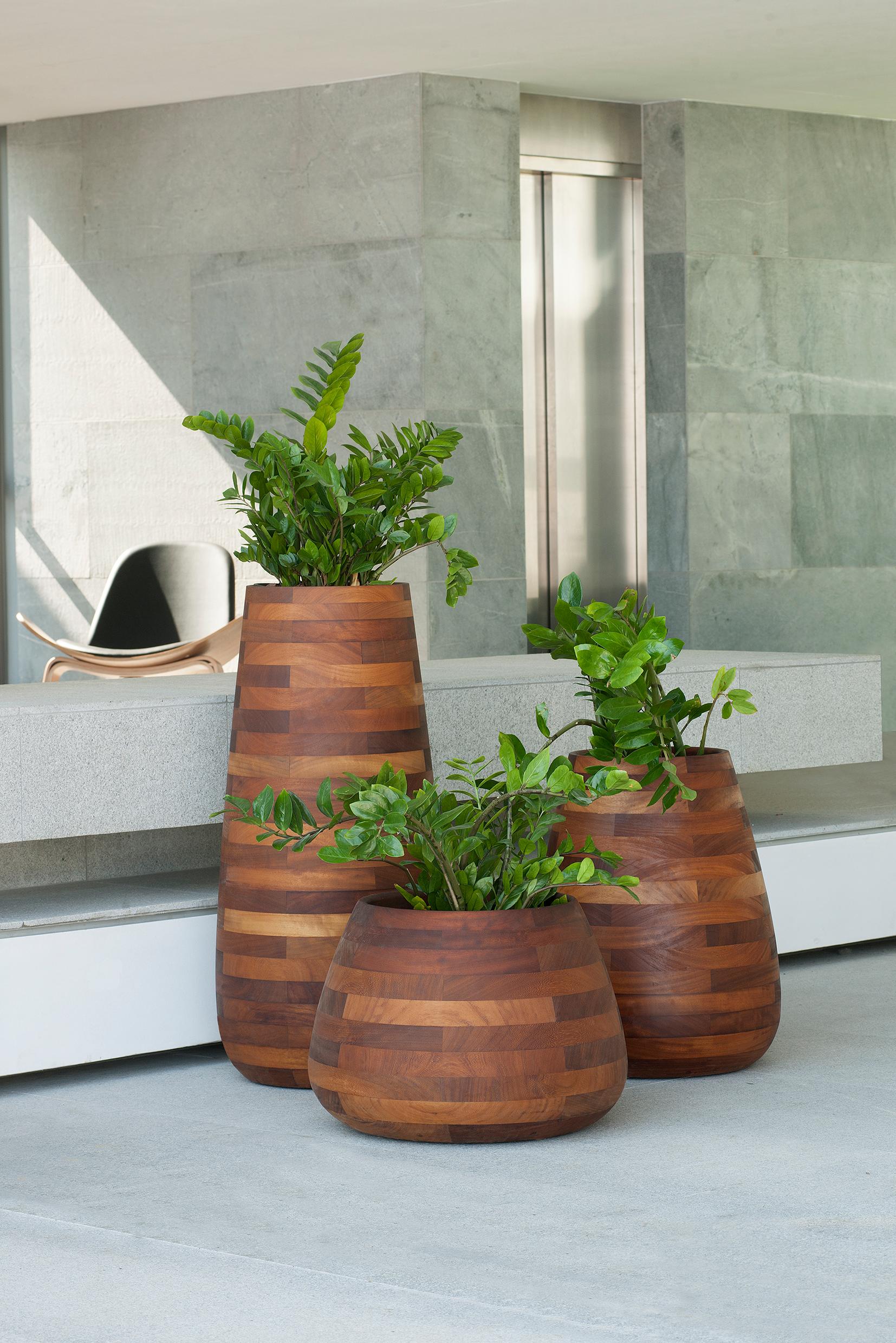 Jardinera Pequeña de Madera Aceitada Tuber de Indigenus en venta 2