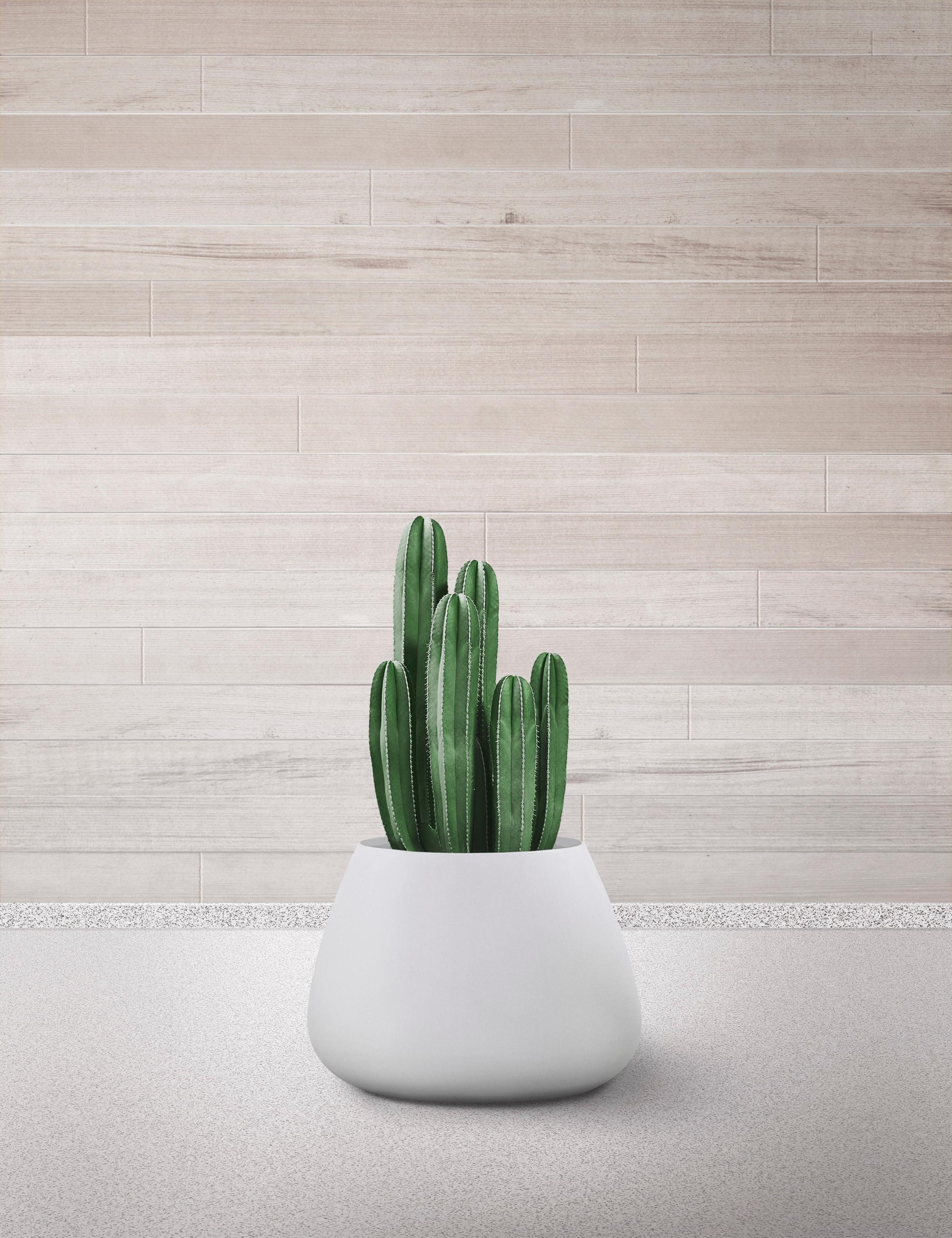 Tuber Small White Planter by Indigenus
Designed by Haldane Martin
Dimensions: Ø 66,7 x H 47,5 cm.
Materials: Stone.
Weight: 45 kg.

Different colors and sizes are available. Please contact us.

Haldane Martin’s Tuber, as the name suggests, is