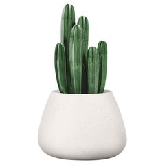Fioriera Tuber Small White di Indigenus