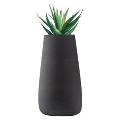 Tuber Tall Black Planter by Indigenus