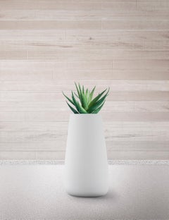 Tuber Tall Brown Planter by Indigenus