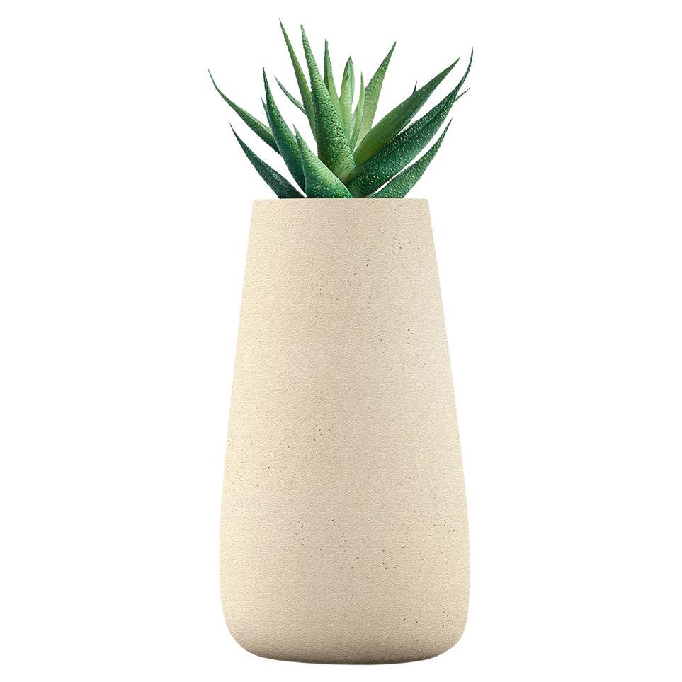 Tuber Tall Sandstone Planter by Indigenus