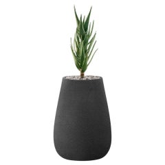 Jardinière noire Tuber XS par Indigenus