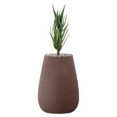 Jardinière Tuber XS Brown by Indigenus