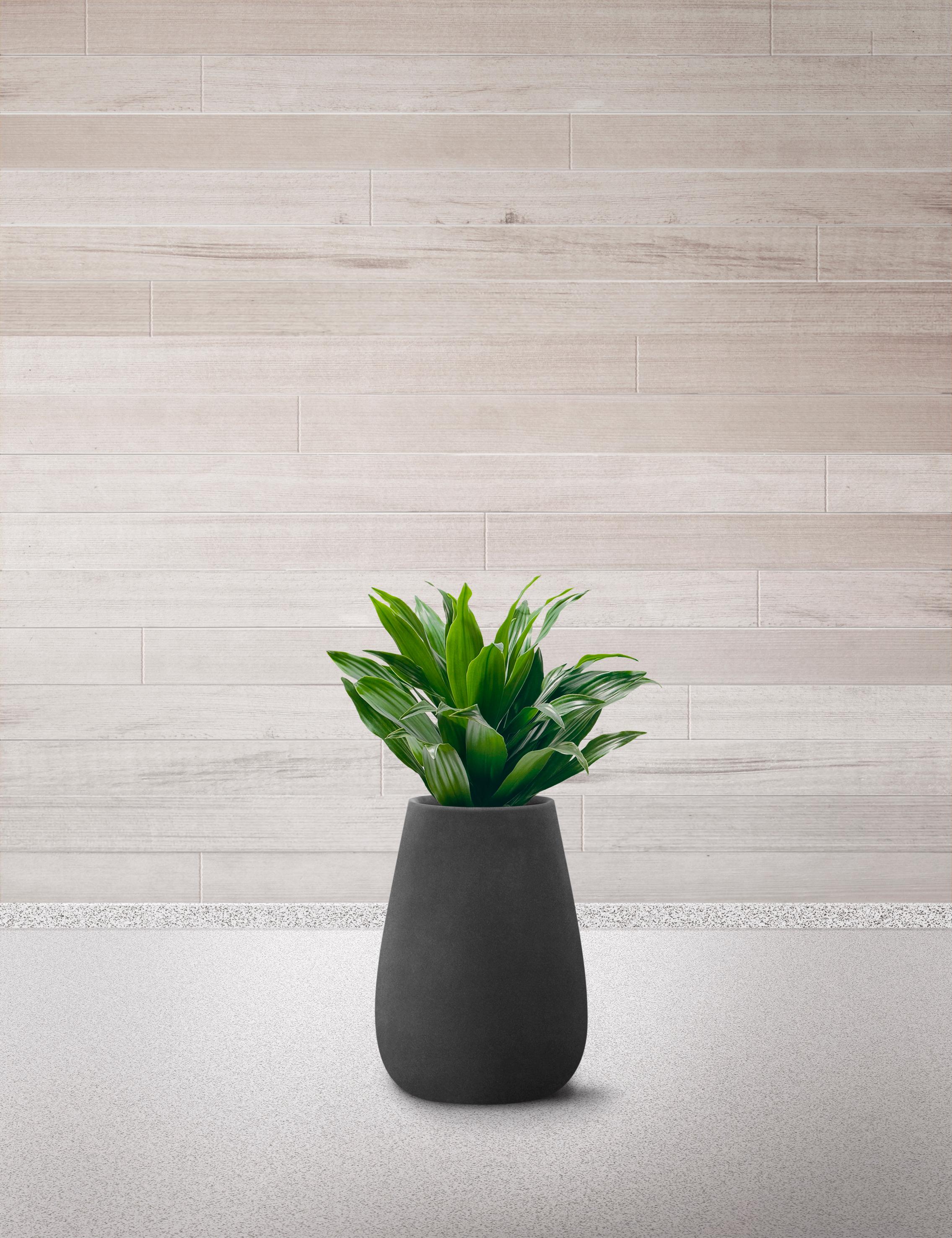 Tuber XS Grey Planter by Indigenus
Designed by Haldane Martin
Dimensions: Ø 29,7 x H 56,3 cm.
Materials: Stone.
Weight: 25 kg.

Different colors and sizes are available. Please contact us.

Haldane Martin’s Tuber, as the name suggests, is inspired