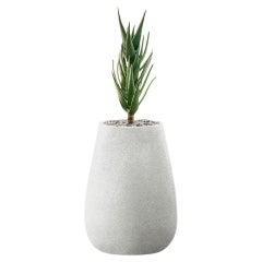 Jardinière grise Tuber XS par Indigenus