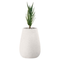 Fioriera Tuber XS White di Indigenus