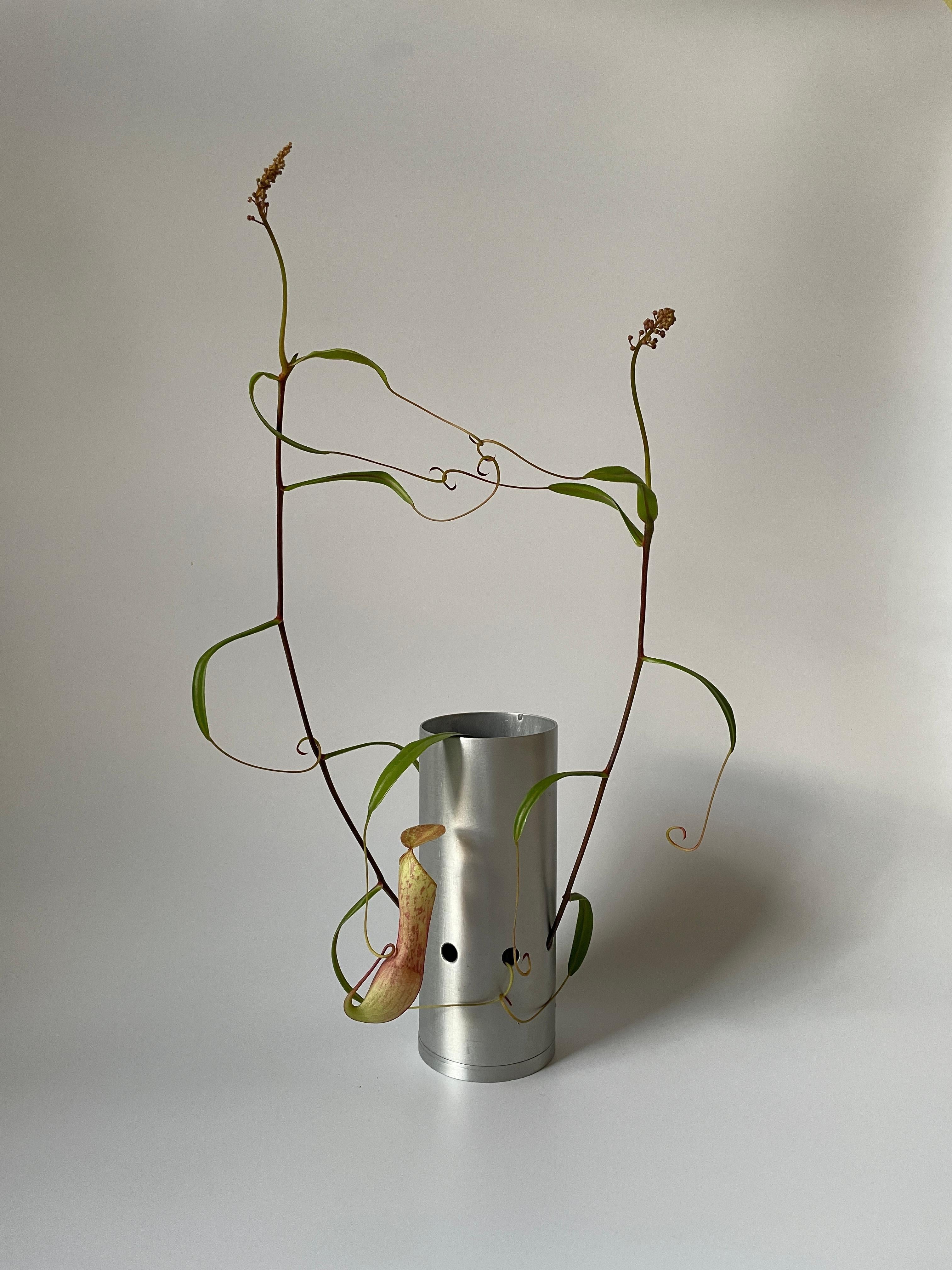 Tubino 003 Minimal Aluminium Flower Vase For Sale 2