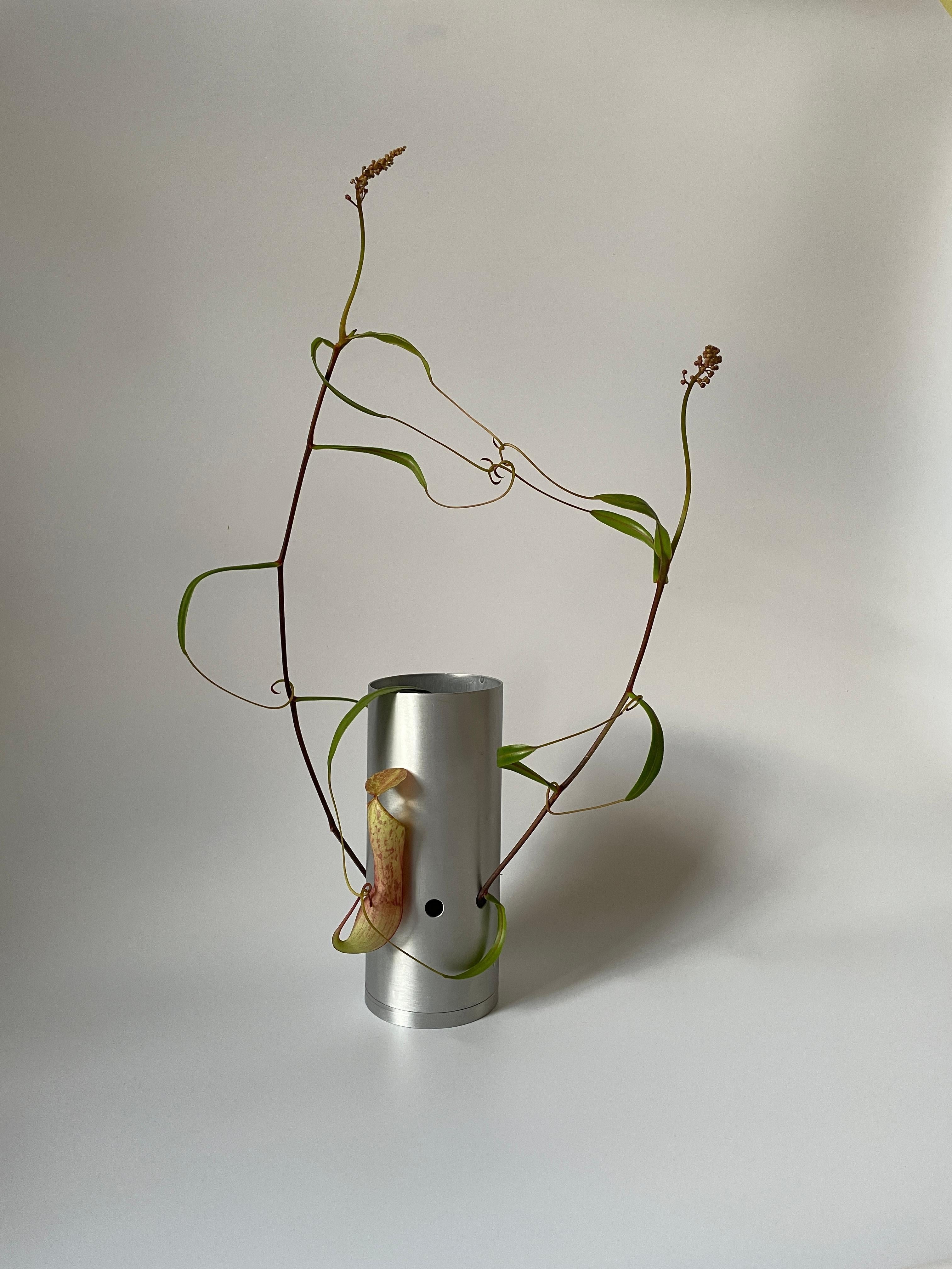 Tubino 003 Minimal Aluminium Flower Vase For Sale 3