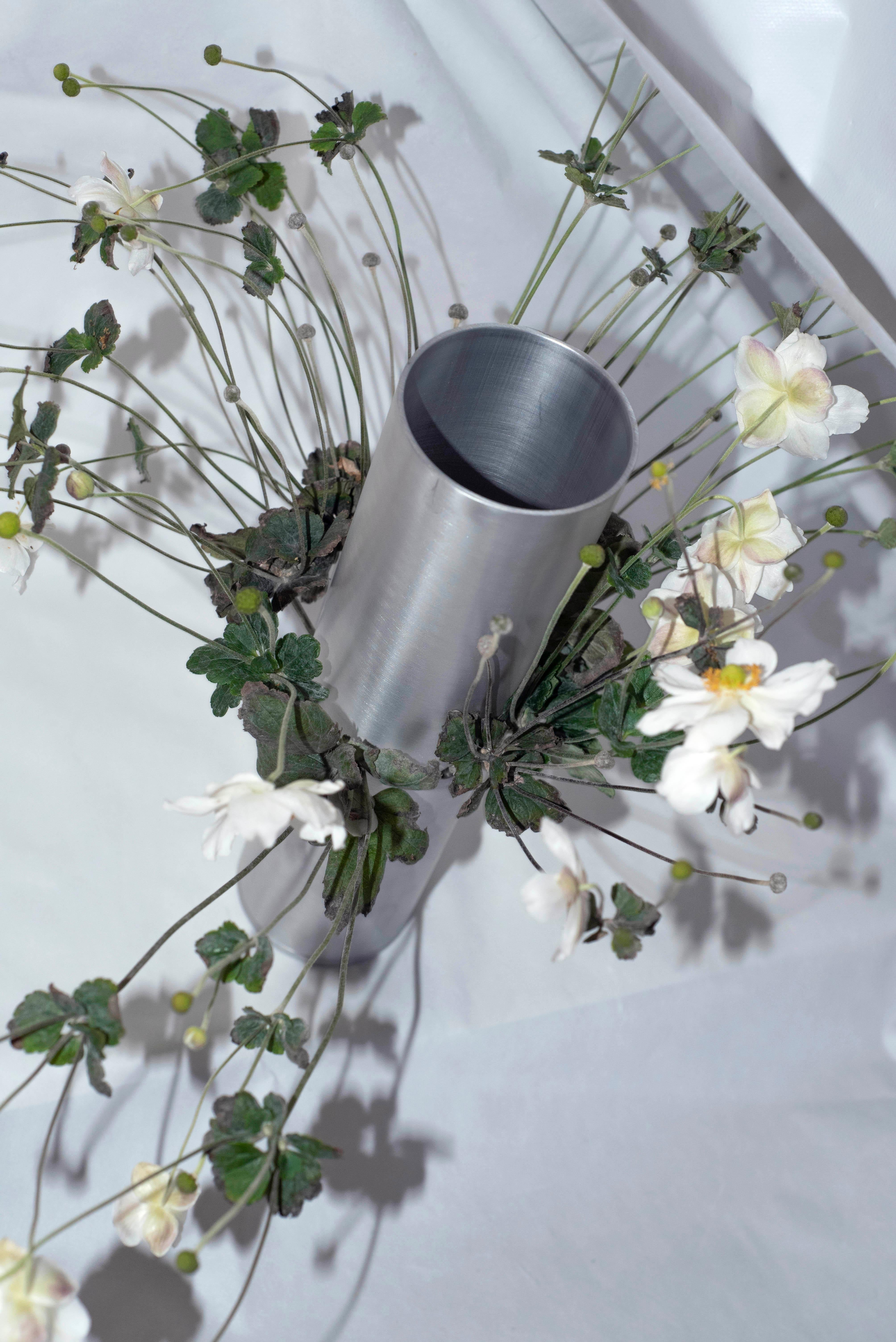 Tubito 003 ist eine hochglanzpolierte Aluminiumvase mit seitlichen Perforationen, die als alternative Ouvertüre für die Blumen dienen, für die sie gebaut wurde. Inspiriert von der japanischen Ikebana-Kunst und den spanischen Almorratxes, ist