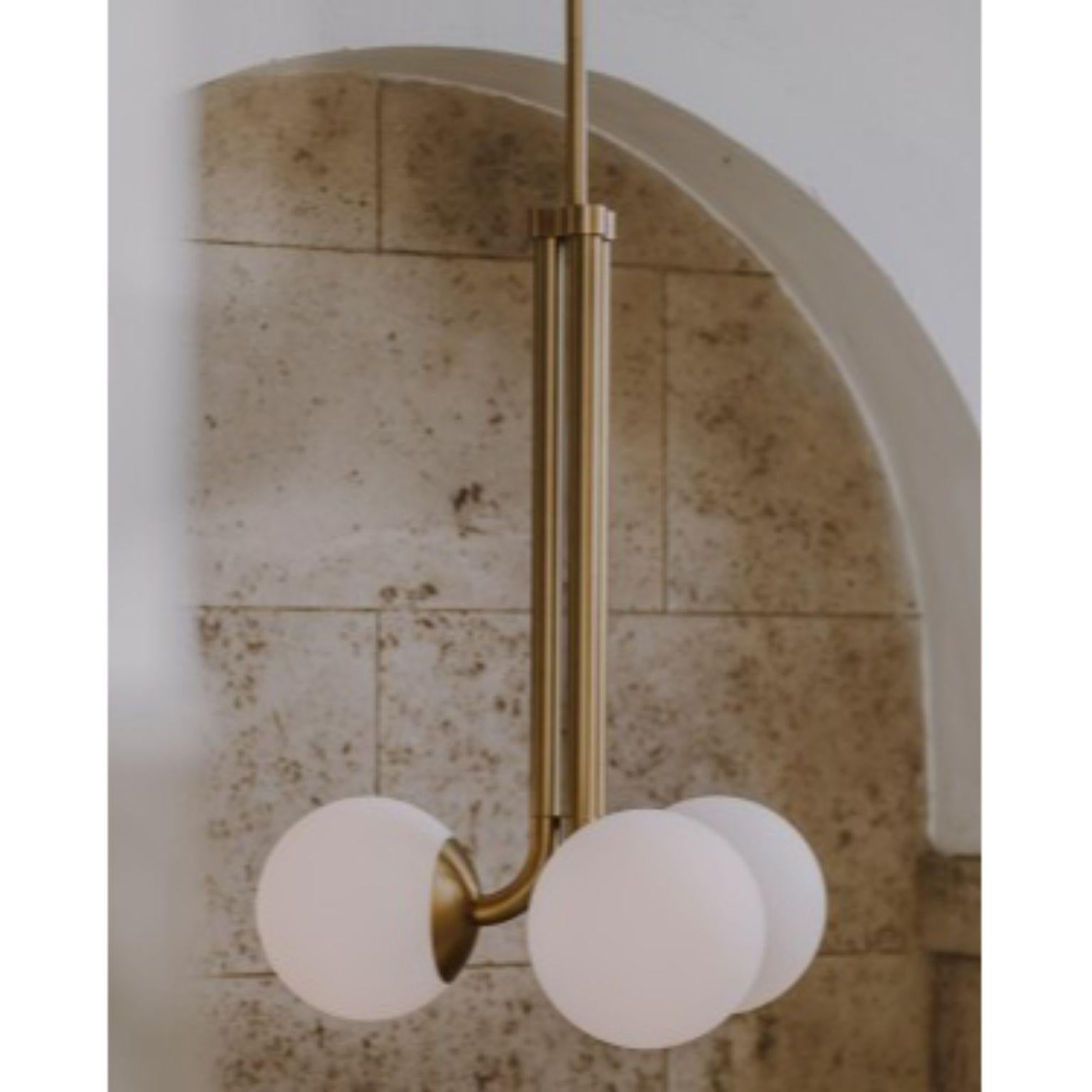 Tubular MD Brass Pendant Light by Schwung For Sale 1