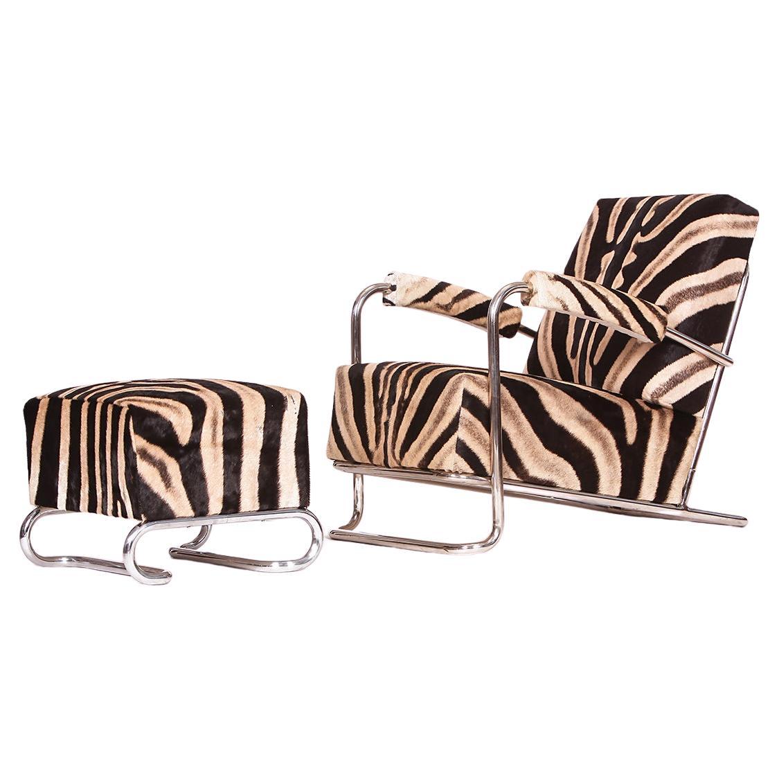Tubular Steel Loungechair Zebra Hide by Fa. Hynek Gottwald, 1930s