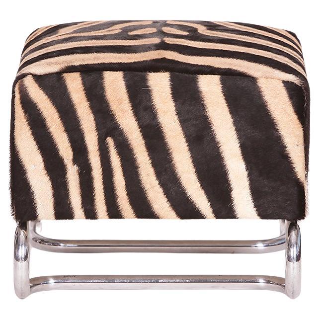 Stahlrohrhocker aus Zebrafell von Hynek Gottwald, 1930er Jahre
Dieser Hocker oder Ottomane passt sehr gut zu unserem Zebra-Stuhl. 
Zusammen sind sie ein perfektes Paar, das die Aufmerksamkeit aller auf sich zieht. 
Komplett neu gepolstert mit neuen