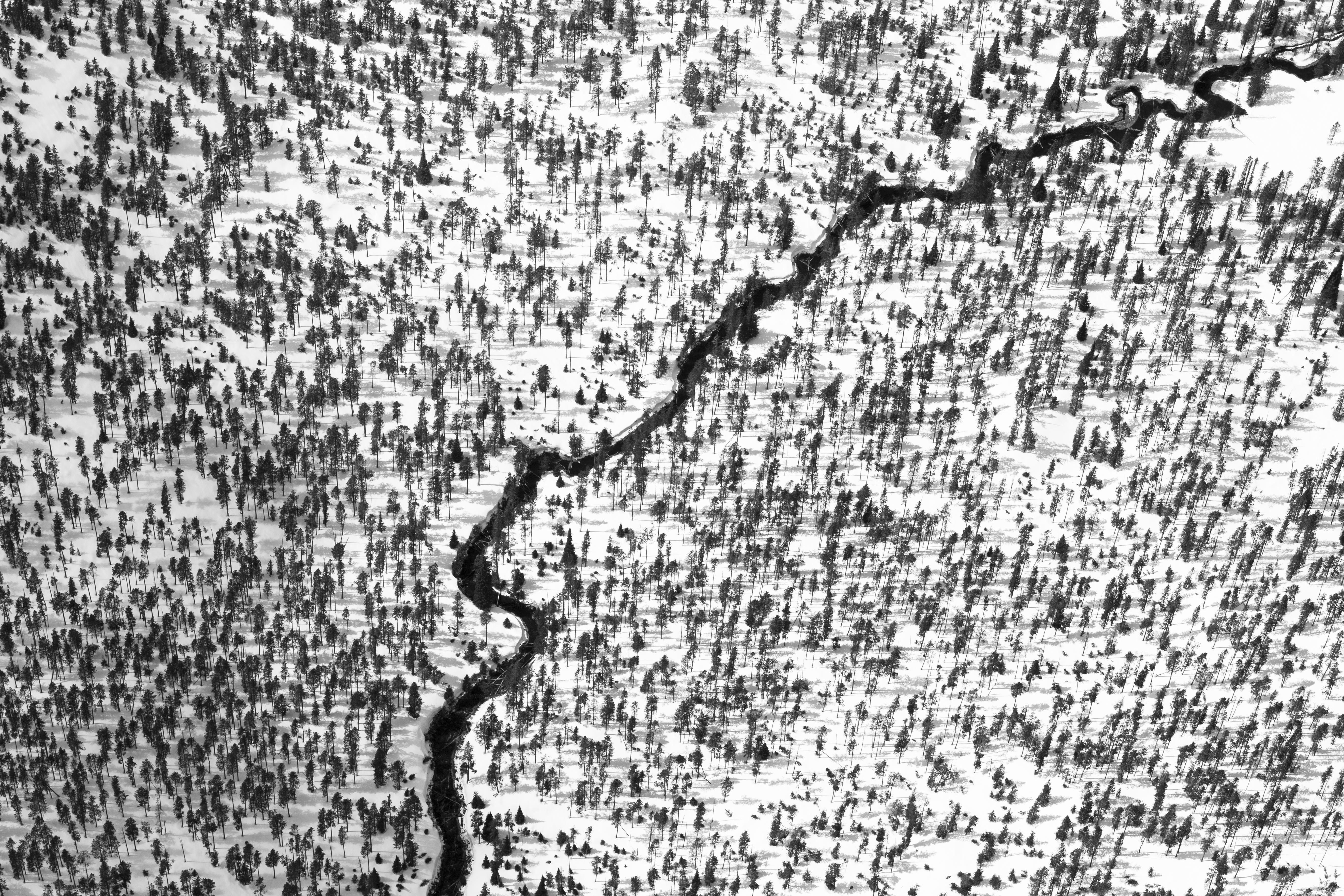 Landscape Print de Tuck Fauntleroy - Línea de flotación VIII
