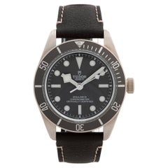 Tudor Black Bay 58 Ref 79010SG, 'Near New' Condition, Box & Papers