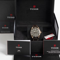 Tudor Black Bay 58 ref 79010SG. Sterling Silver 39mm Case, Full Set, 2021