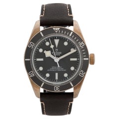 Tudor Black Bay 58 ref 79010SG. Sterling Silver 39mm Case, Full Set, 2021