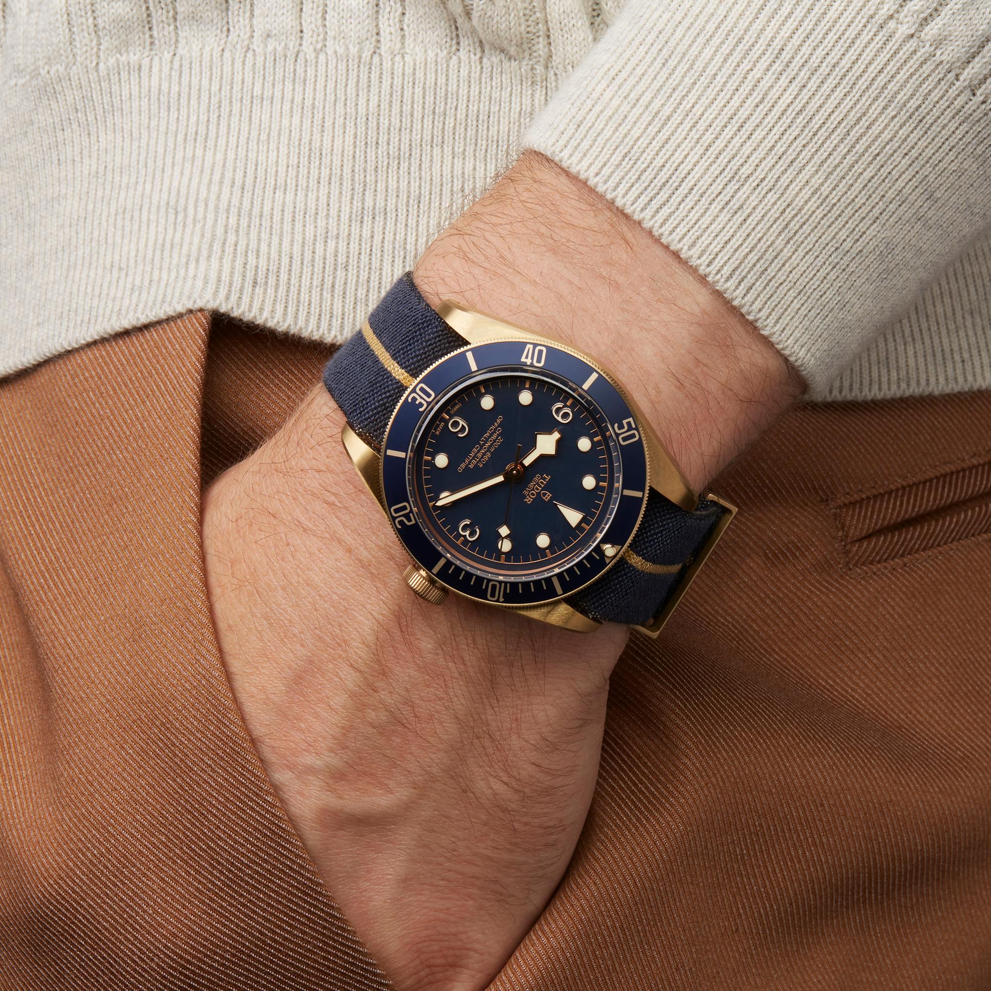 Tudor Black Bay Heritage Bucherer Blue Bronze 79250BB 4