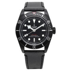 Tudor Heritage Black Bay Steel PVD Black Dial Automatic Mens Watch 79230DK