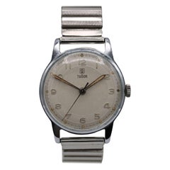 Príncipe Tudor 12856