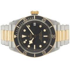Tudor Stainless Steel & 18 Karat Yellow Gold Black Bay S&G 41