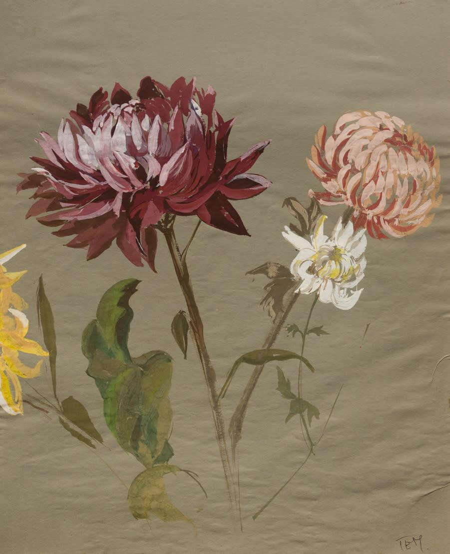 Tüema Pattie, Early Chrysanthemums, Poster Colour