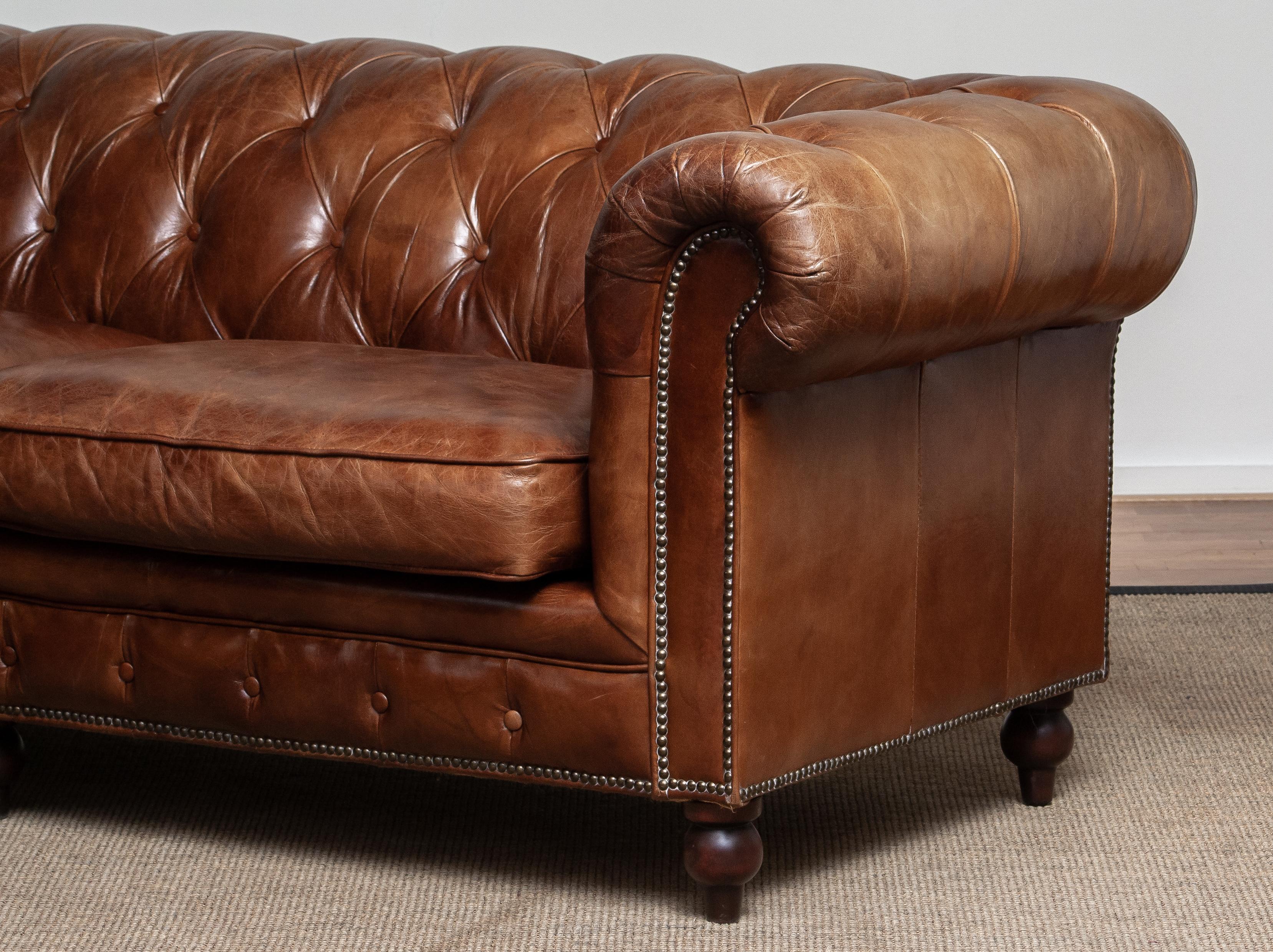 Tufted Brown Leather Chesterfield Sofa and Arm / Lounge Chair 14