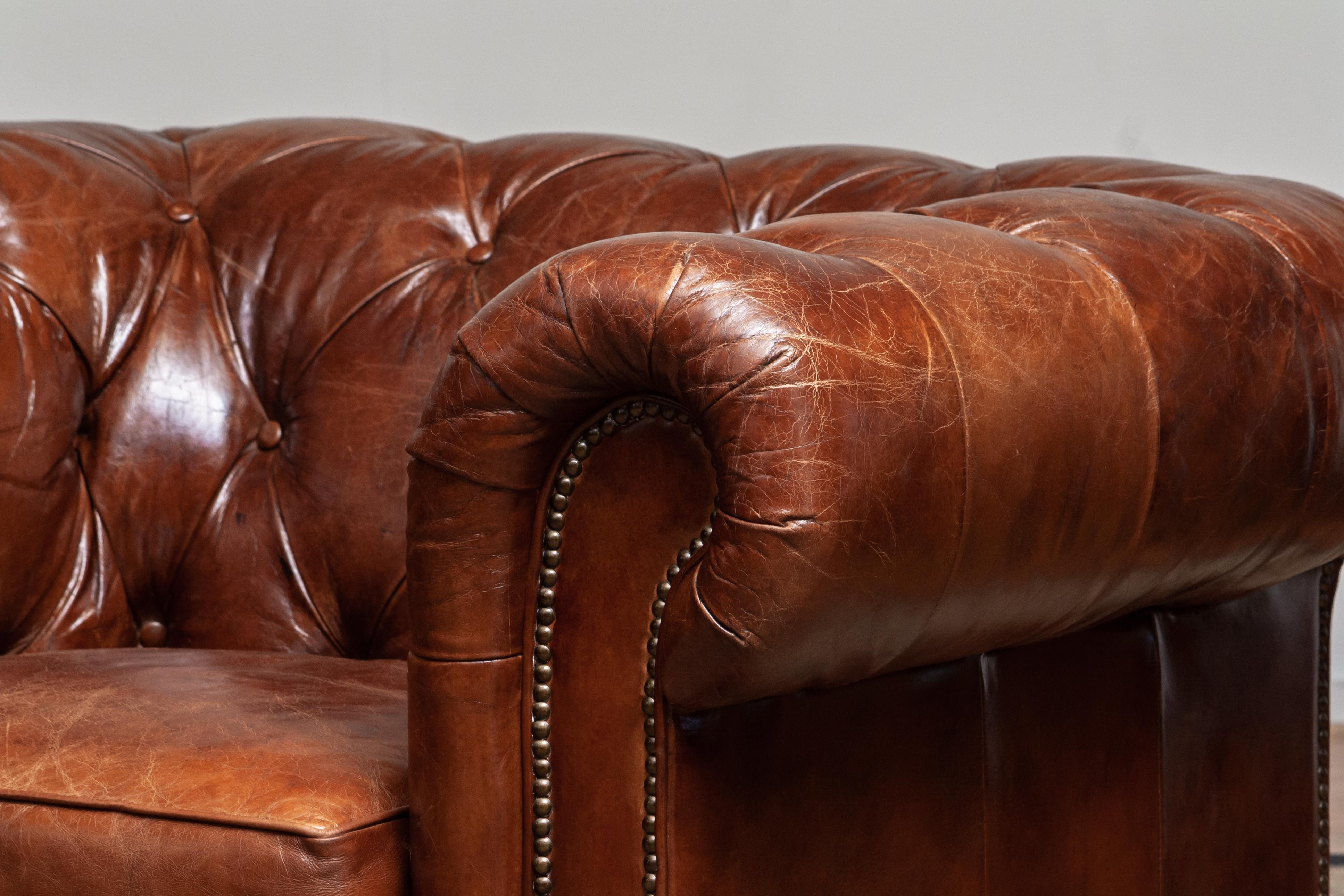 Tufted Brown Leather Chesterfield Sofa and Arm / Lounge Chair 2