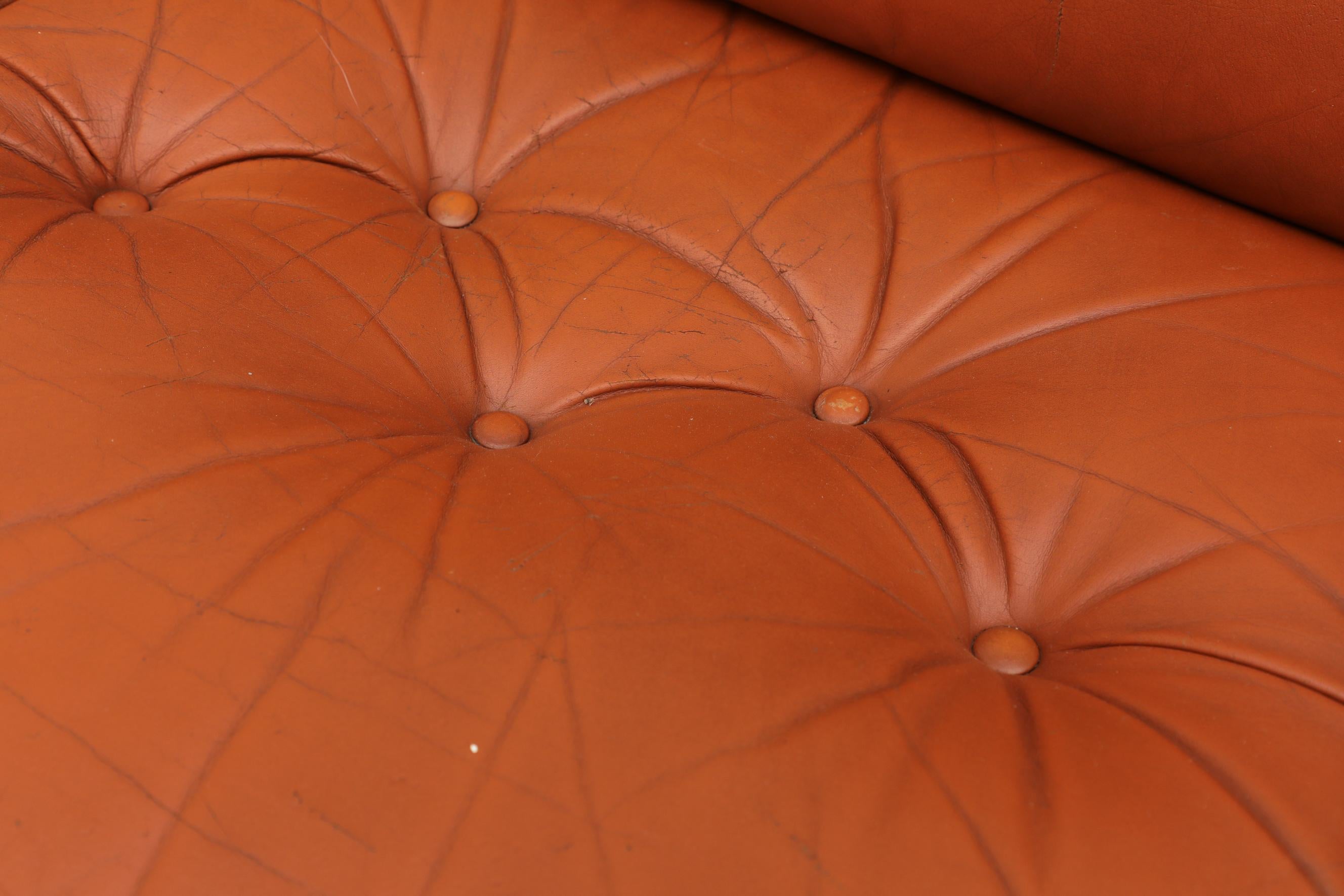 Tufted Terracotta Leather and Rosewood Sofa by Coja 9