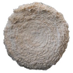 Tule Wall Rug by Caralarga