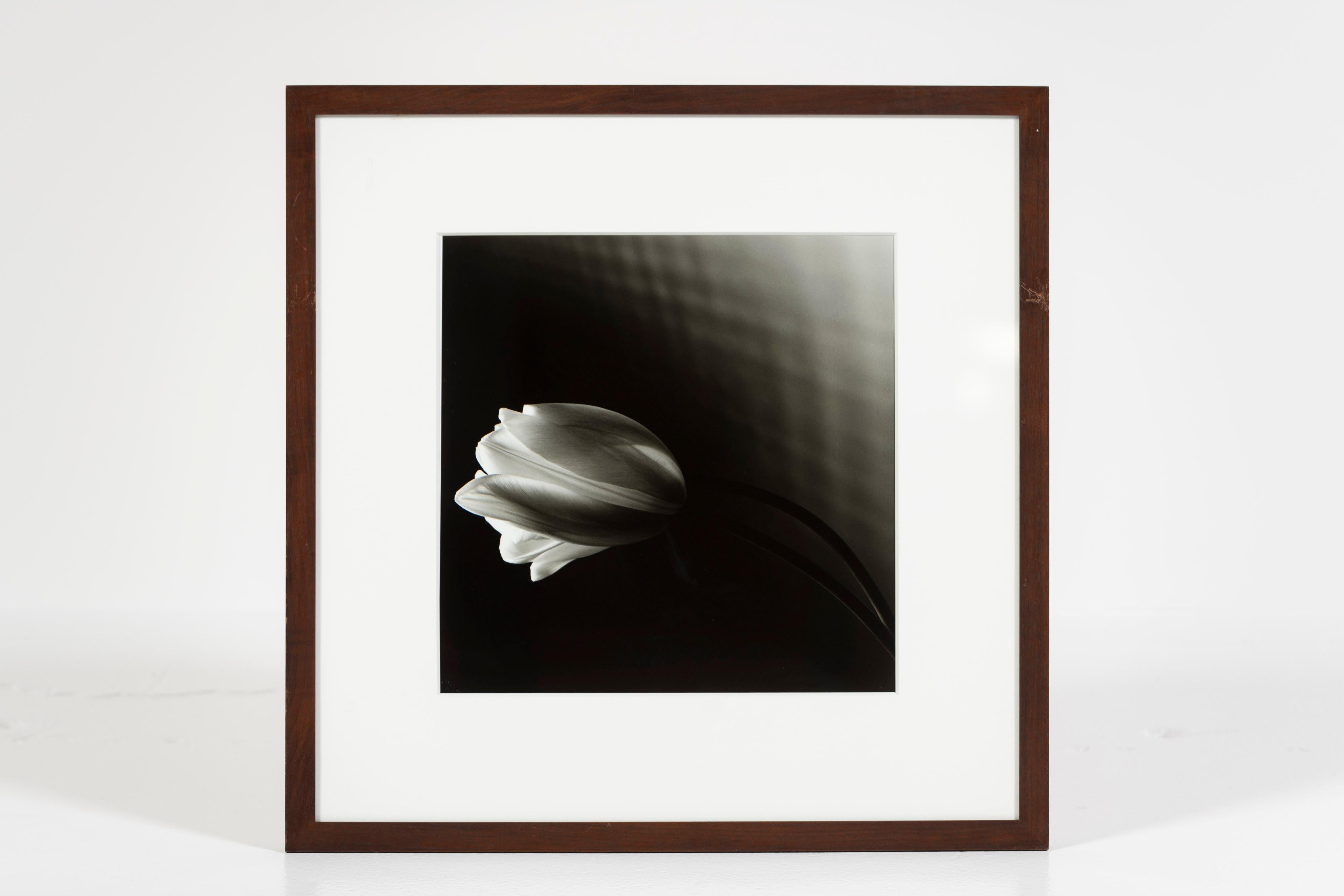 High contrast black and white photo, 