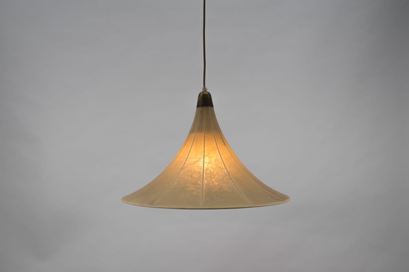 Tulip Cocoon Hanging Lamp by Münchener Werkstätten, 1950s, Germany For Sale 4