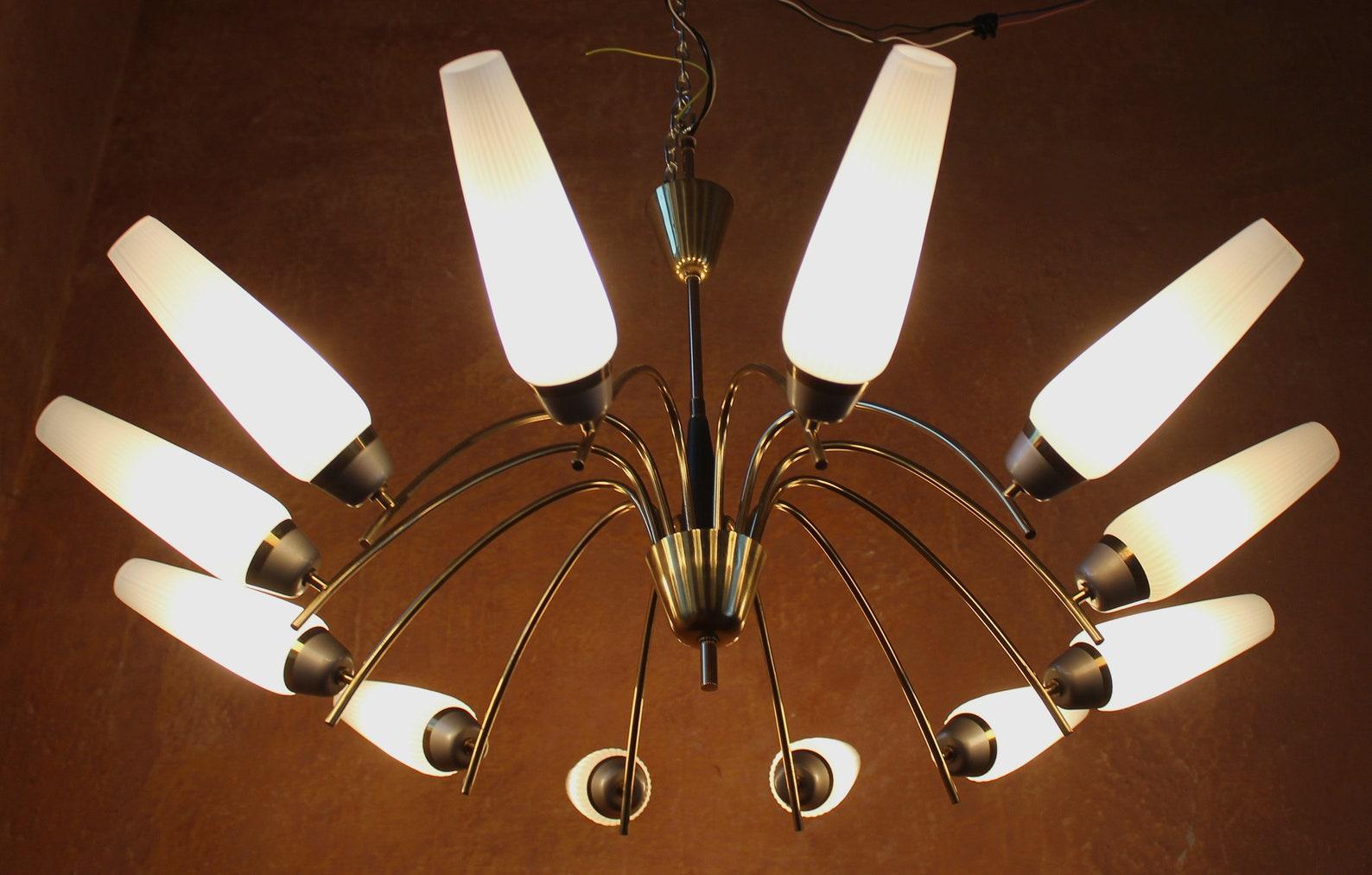 Mid-20th Century Tulip Lights Chandelier in Brass & Opal Glass, Germany, 1950s For Sale