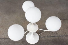 Tulip Table Lamp with Frosted Globes by Temde Leuchten