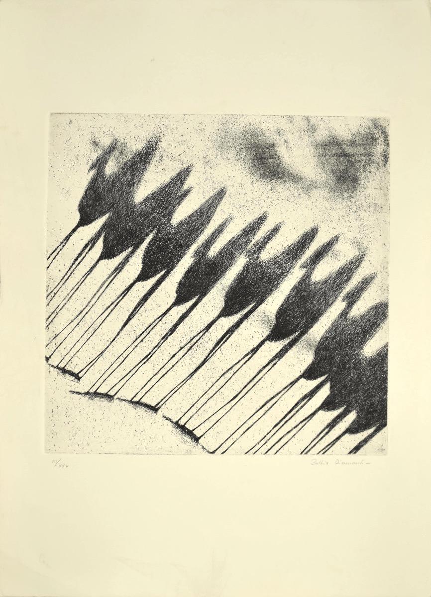Shadow of Camels is original etching realized by Tullio Diamanti in 1980s.

Hand signed and numbered in pencil on the lower, edition of VII/ XXV prints.

Sheet dimension: 70 x 0,1 x 50 cm.

Image dimension: 39 x 39 cm.

In perfect condition.
