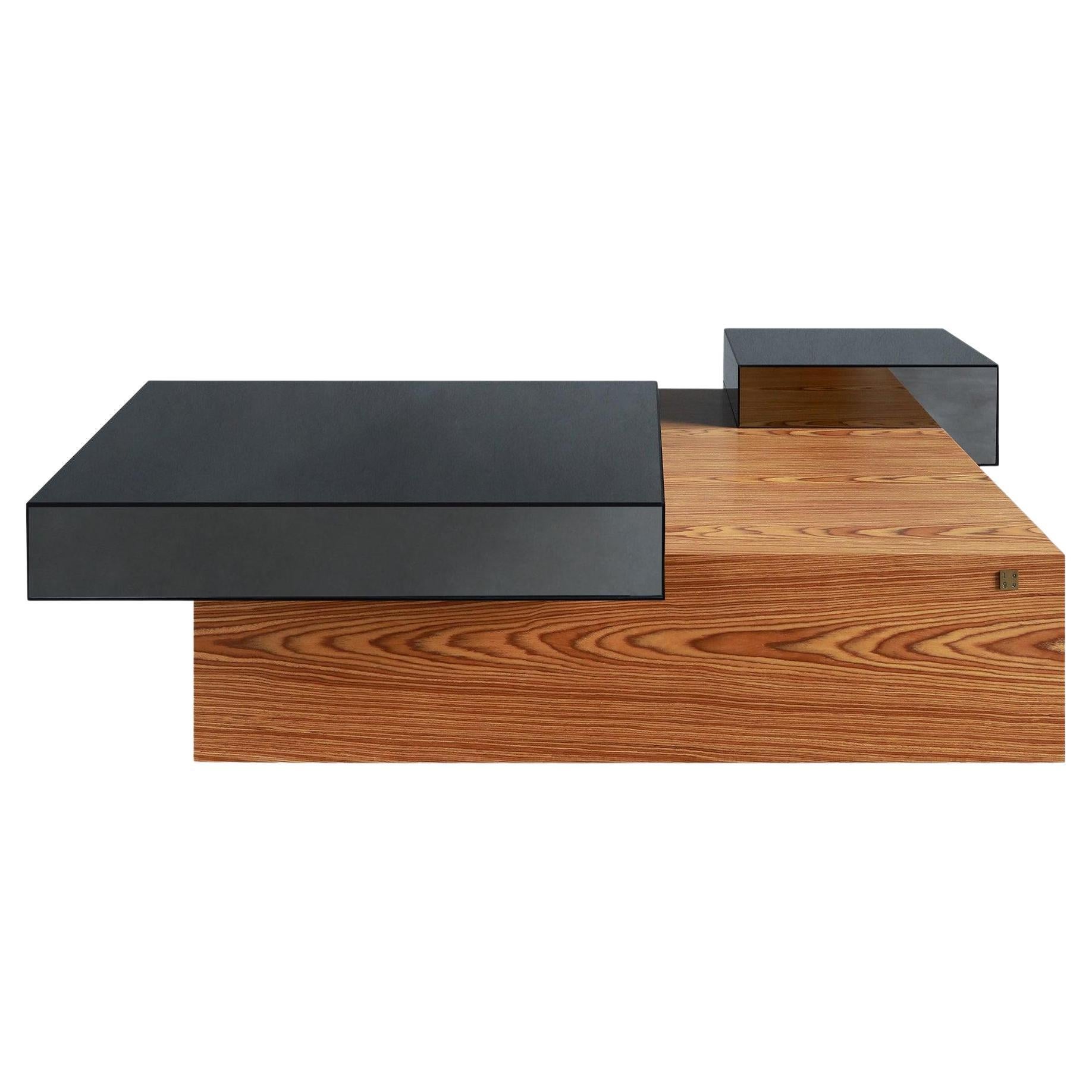 Tunc Coffee Table in Mirror & Wood For Sale