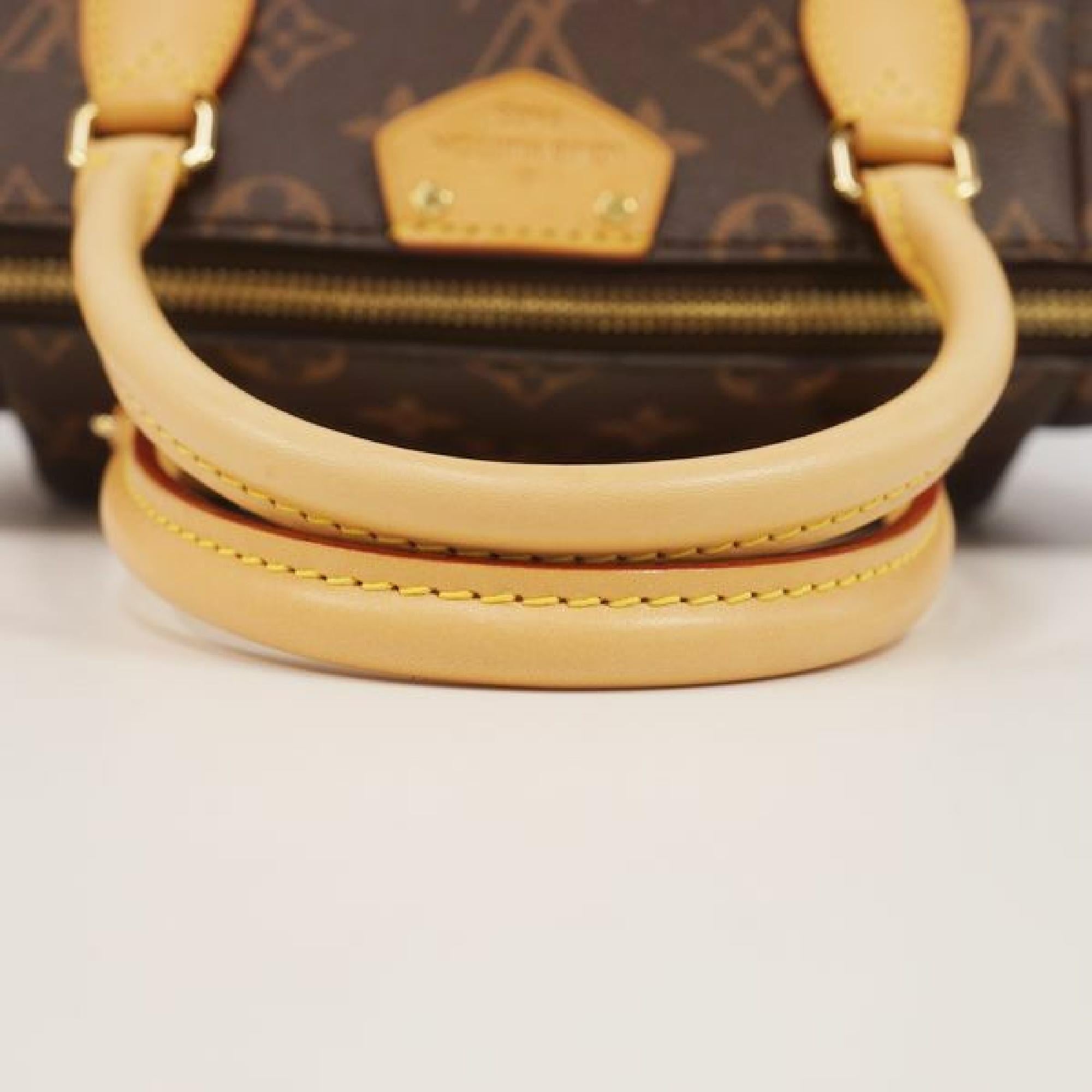 Louis Vuitton Turenne PM  Womens  handbag M48813 In Excellent Condition In Takamatsu-shi, JP
