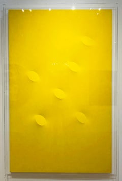 6 ovali gialli, acrylic on shaped canvas, 
