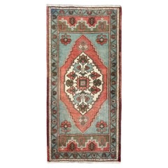 Turkey Anatolia Small Rug - (22x47) in
