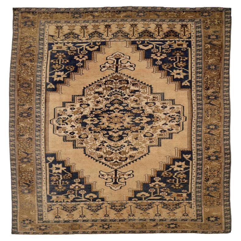 Türkei Anatoly Bereich Teppiche - Wolle Schwarz Braun Elfenbein Design - 92924