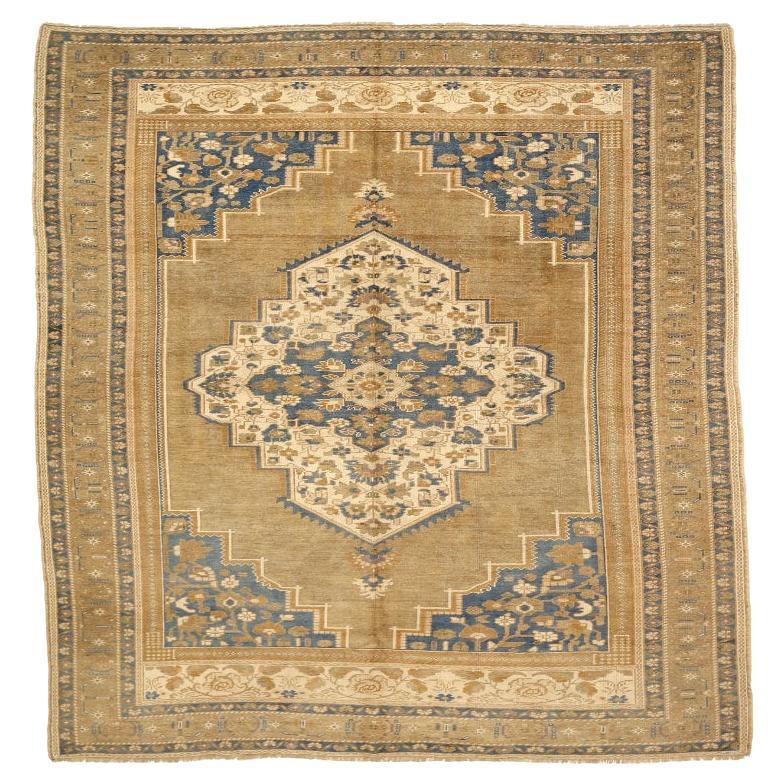 Türkei Anatoly Area Rugs - Wolle Braun Elfenbein Marineblau Taupe - 92823